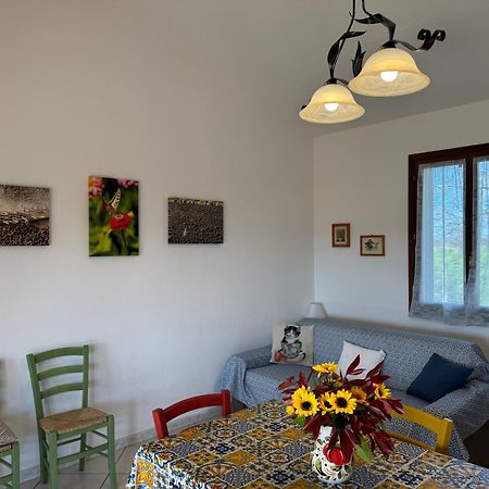 Agriturismo I Debbi Bibbona Exterior photo